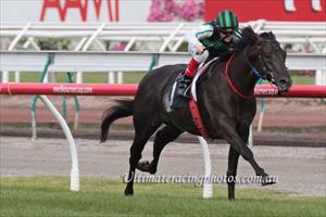 Shamus eyes Sydney Group 1